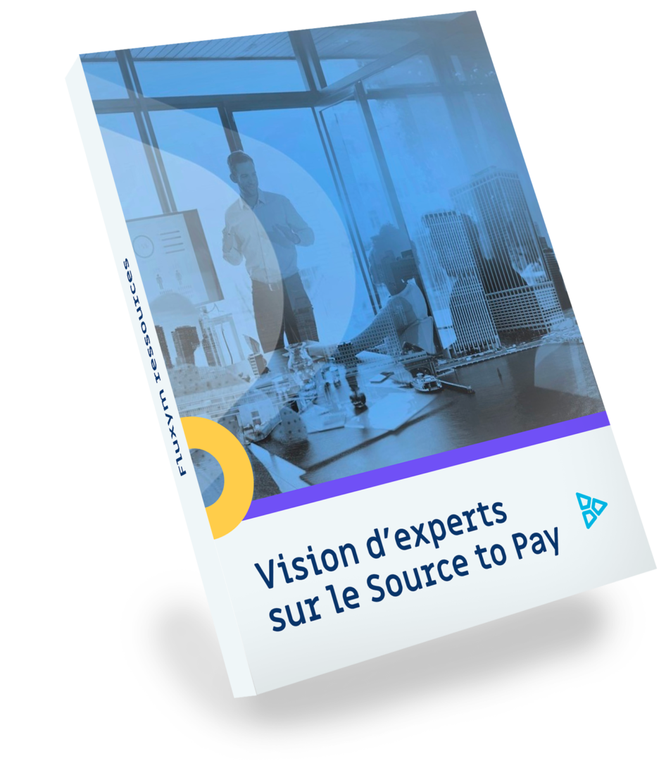vision-experts-sur-source-to-pay